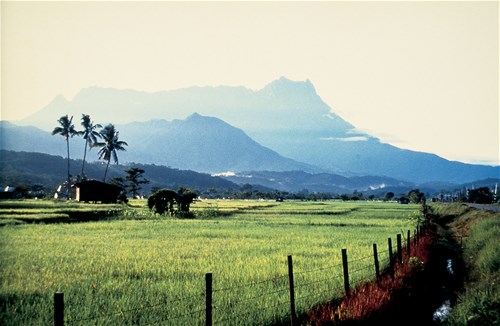 Kinabalu Summit